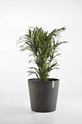 Ecopots Ruukku Amsterdam t.harmaa - Istutusruukut - 800350 - 2