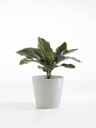 Ecopots Ruukku Amsterdam valkoharmaa - Istutusruukut - 800330 - 1