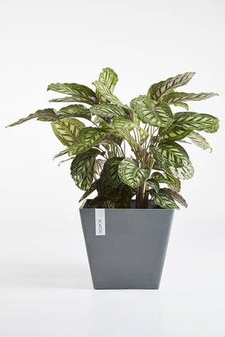 Ecopots Ruukku Rotterdam harmaa - Istutusruukut - 800430 - 1