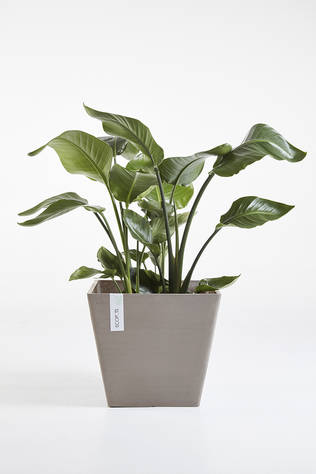 Ecopots Ruukku Rotterdam taupe - Istutusruukut - 800450 - 1