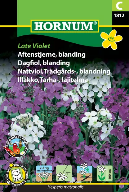Illakko,Tarha-, lajitelma Late Violet - Kukkien ja koristeheinien siemenet - 5708787018120 - 0