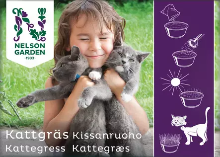 Kissanruoho kauraa 25 g - Kukkien ja koristeheinien siemenet - 7312600052680 - 1