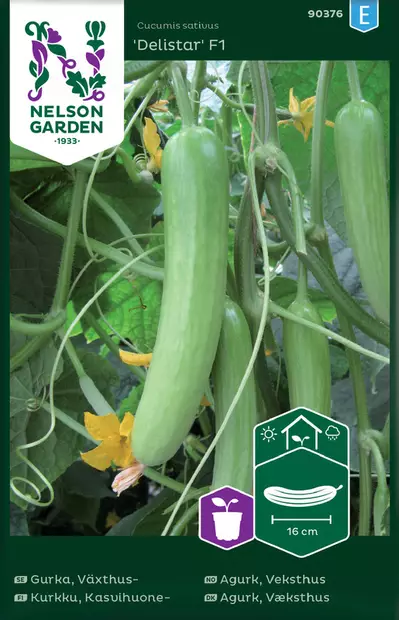 Kurkku, Kasvihuone-, Delistar F1 - Vihannesten ja yrttien siemenet - 7312600903760 - 2