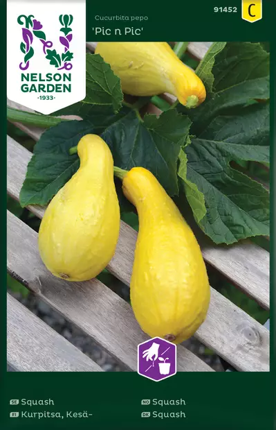 Kurpitsa, Kesä-, Pic n Pic - Vihannesten ja yrttien siemenet - 7312600914520 - 0