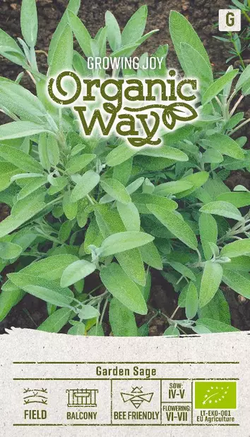 SALVIA OG - Vihannesten ja yrttien siemenet - 4770168913660 - 0