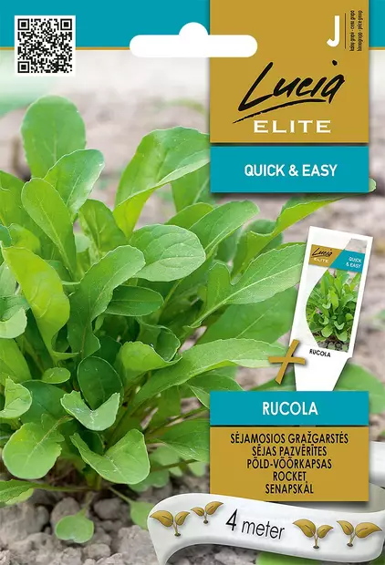 SINAPPIKAALI ELITE - Vihannesten ja yrttien siemenet - 4770168920590 - 0