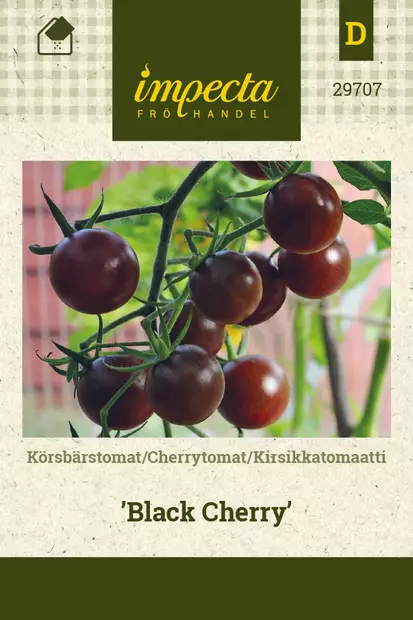 Kirsikkatomaatti Black Cherry - Vihannesten ja yrttien siemenet - 7332756297070 - 0