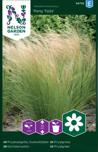 Koristeruoho, Pony Tails - Kukkien ja koristeheinien siemenet - 7312600947320 - 0