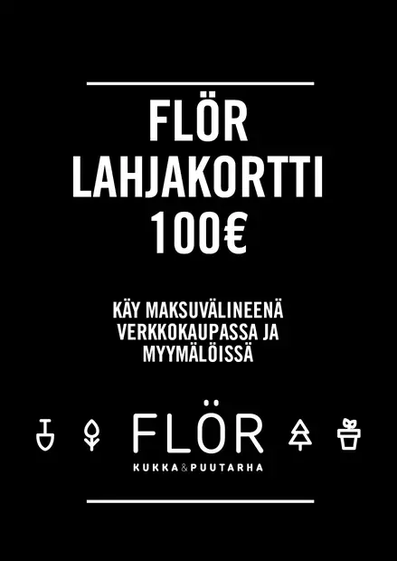 Lahjakortti 100 EUR - Lahjakortit ja etukupongit - 99999980-100 - 3