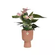 Elho Ruukku Vibes Fold Coupe ø14 cm - Suojaruukut ja -korit - 8711904494810 - 2