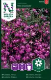 Lobelia, Riippa-, Red Cascade - Kukkien ja koristeheinien siemenet - 7312600939660 - 0
