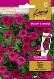 PETUNIA (SURFINIA) ELITE EASY WAVE H PUR - Kukkien ja koristeheinien siemenet - 4770168248540 - 0