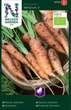 Porkkana, Kesä-, Berlicum 2, Organic - Vihannesten ja yrttien siemenet - 7312600907430 - 0