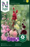 Salkoruusu, Tarha-, Charter s Double - Kukkien ja koristeheinien siemenet - 7312600954120 - 0