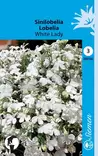 Sinilobelia White Lady annos - Kukkien ja koristeheinien siemenet - 6415152051000 - 1