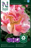 Tuliunikko, Kalifornian-, Rosa Romantica - Kukkien ja koristeheinien siemenet - 7312600955240 - 0