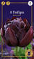 Tulppaani Black Hero 6 kpl/pkt - Tulppaanit - 8711148315940 - 1