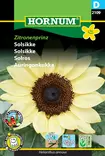Auringonkukka Zitronenprinz - Kukkien ja koristeheinien siemenet - 5708787021090 - 0
