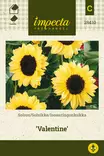 Isoauringonkukka Valentine - Kukkien ja koristeheinien siemenet - 7332756284100 - 0