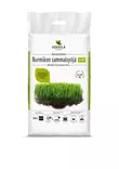 Kekkilä Nurmikon Sammalsyöjä Plus+ 10L - Puutarhalannoitteet ja kalkit - 6433000623650 - 1