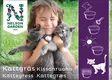 Kissanruoho kauraa 25 g - Kukkien ja koristeheinien siemenet - 7312600052680 - 1