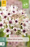 Laukka Silver Spring 1 kpl/pkt - Laukat - 8712438517570 - 1