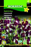 Leijonankita Night&Day - Kukkien ja koristeheinien siemenet - 5708787021410 - 3
