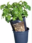 Perunaviljelyruukku PotatoPot - Istutusruukut - 5700002064400 - 1