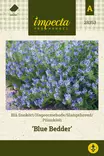 Piiankieli Blue Bedder - Kukkien ja koristeheinien siemenet - 7332756283530 - 0