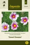 Punakosmoskukka Sweet Dreams - Kukkien ja koristeheinien siemenet - 7332756283080 - 0