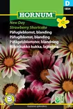 Riikinkukko kukka, lajitelma New Day Str - Kukkien ja koristeheinien siemenet - 5708787018540 - 0