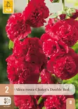 Tarhasalkoruusu Red 2 kpl/pkt -  - 8712438638480 - 1