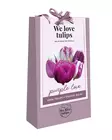 Tulppaanikassi Purple Love 20 kpl/pkt - Tulppaanit - 8712438754180 - 2