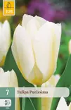 Tulppaani Purissima 7 kpl/pkt - Tulppaanit - 8712438508400 - 1