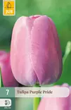 Tulppaani Purple Pride 7 kpl/pkt - Tulppaanit - 8712438974960 - 1