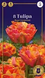Tulppaani Royal Centennial 6 kpl/pkt - Tulppaanit - 8711148242420 - 1