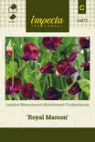 Tuoksuherne Royal Maroon - Kukkien ja koristeheinien siemenet - 7332756248720 - 0