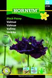 Unikko Black Peony - Kukkien ja koristeheinien siemenet - 5708787021540 - 3