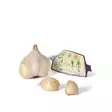 Valkosipuli Messidor 60/80 1 kpl/pkt - Siemenet ja sipulit - 7312600043640 - 2