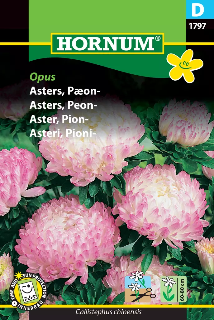 Asteri, Pioni- Opus - Kukkien ja koristeheinien siemenet - 5708787017970 - 0
