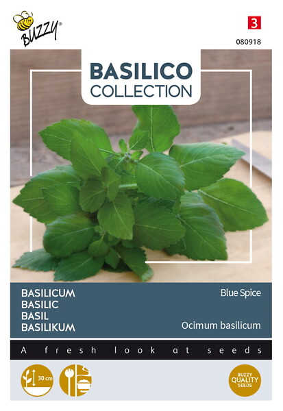 Buzzy Basilico basilika Blue Spice - Kukkien ja koristeheinien siemenet - 8711117809180 - 1