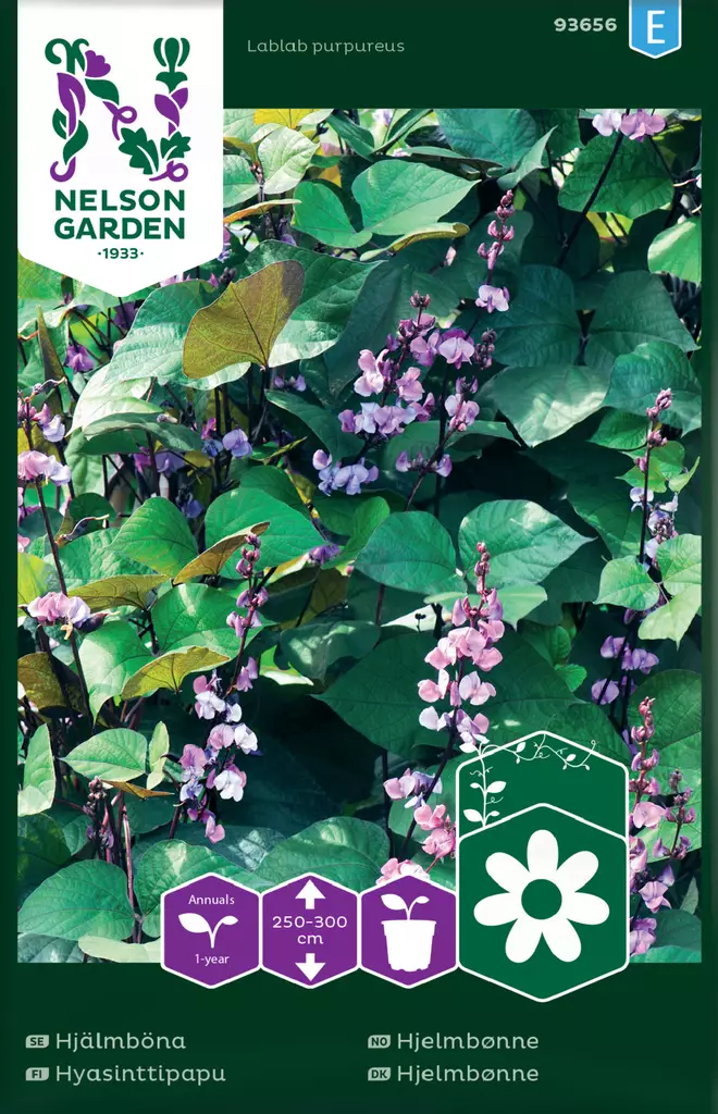 Hyasinttipapu - Kukkien ja koristeheinien siemenet - 7312600936560 - 0