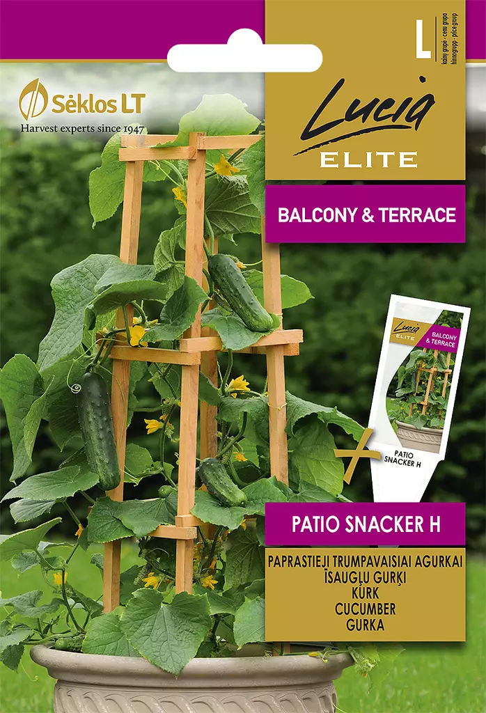 KURKKU ELITE PATIO SNACKER H - Vihannesten ja yrttien siemenet - 4770168102620 - 0