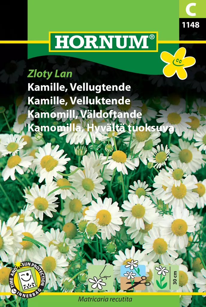 Kamomilla, Hyvältä tuoksuva Zloty Lan - Vihannesten ja yrttien siemenet - 5708787011480 - 0