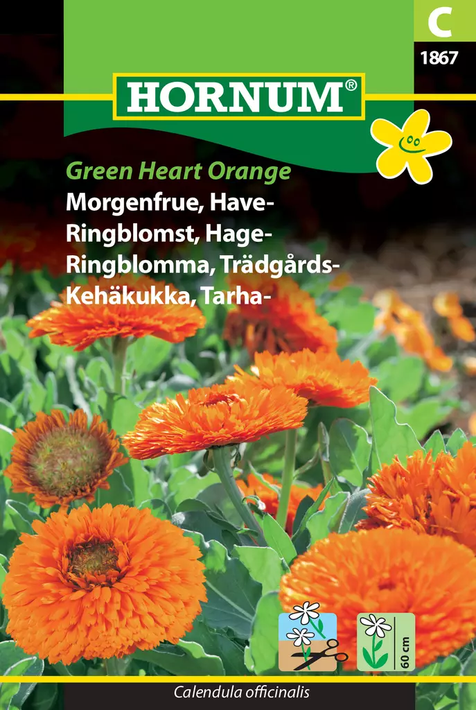 Kehäkukka, Tarha- Green Heart Orange - Kukkien ja koristeheinien siemenet - 5708787018670 - 0
