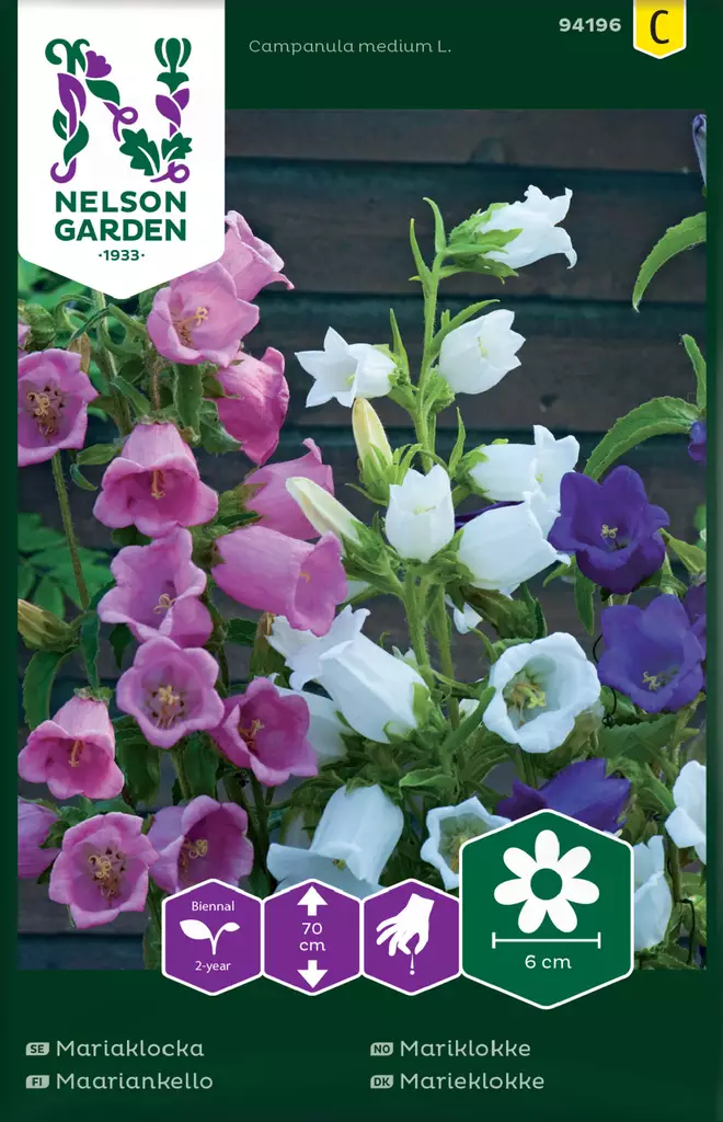 Kello, Maarian, seos - Kukkien ja koristeheinien siemenet - 7312600941960 - 0