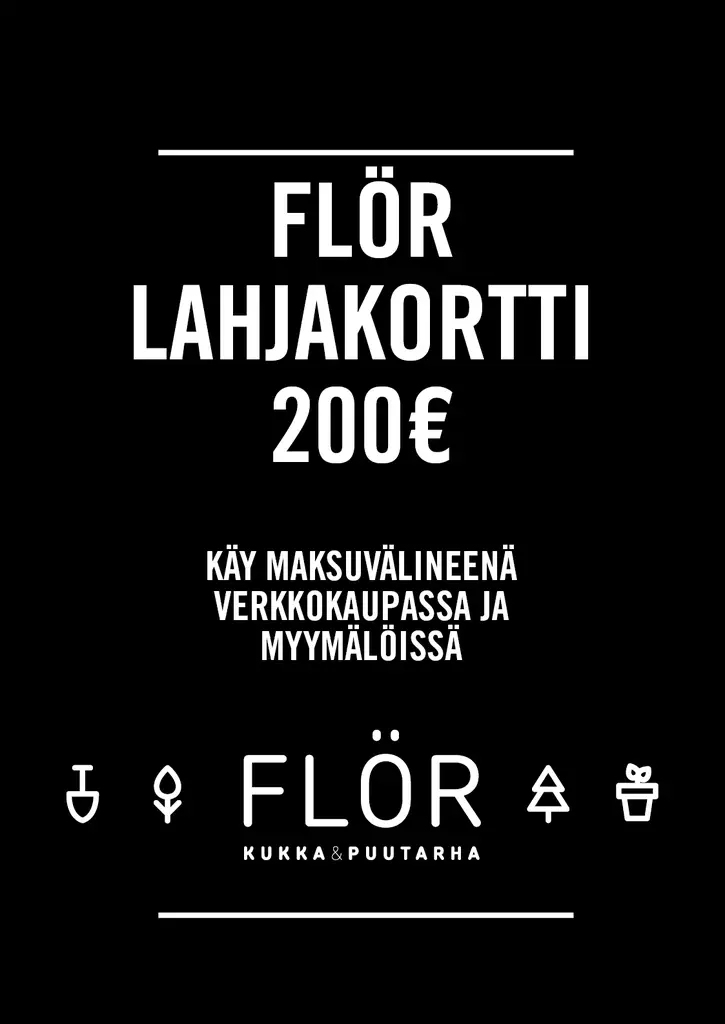 Lahjakortti 200 EUR - Lahjakortit ja etukupongit - 99999980-200 - 1