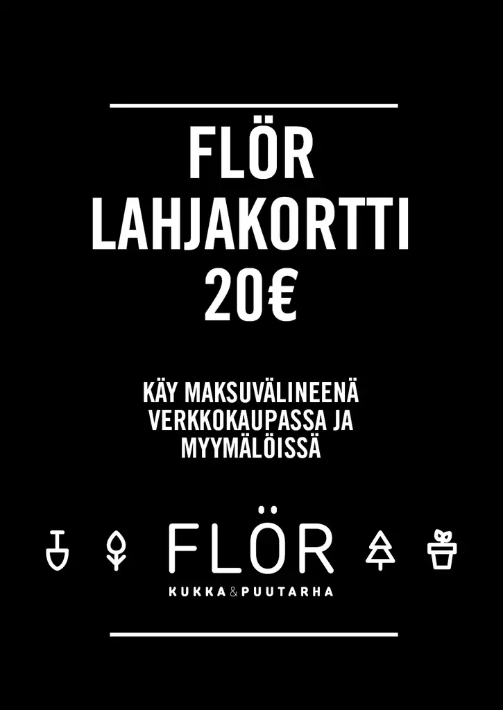 Lahjakortti 20 EUR - Lahjakortit ja etukupongit - 99999980-20 - 3