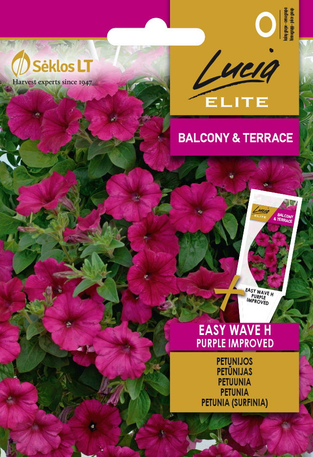 PETUNIA (SURFINIA) ELITE EASY WAVE H PUR - Kukkien ja koristeheinien siemenet - 4770168248540 - 0