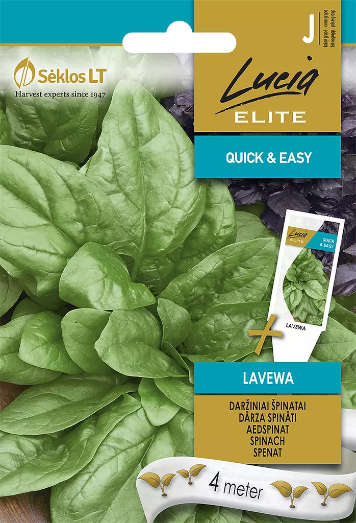 PINAATTI ELITE LAVEWA - Vihannesten ja yrttien siemenet - 4770168913820 - 0